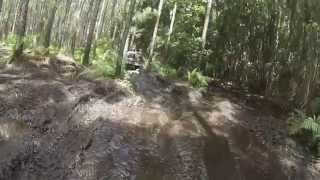 preview picture of video 'Hogwaller Mud Bog Trail riding Labor day 2014 Palatka FL'
