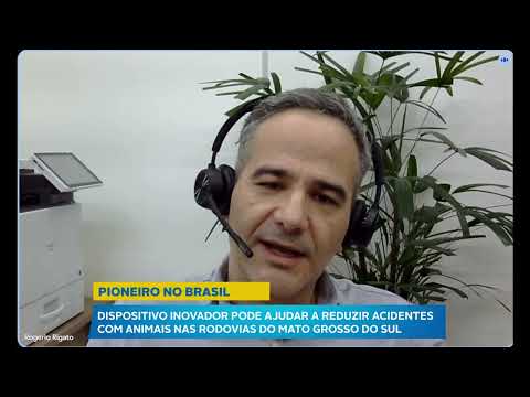 Dispositivo tecnológico ajuda a evitar acidentes com animais em rodovias de MS