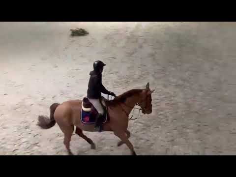 JARDY DU FLEURY CONCOURS