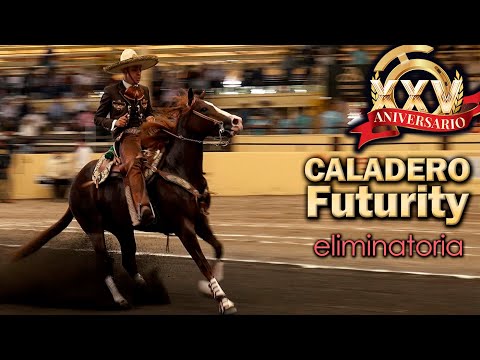 2022 Caladero Futurity Qualifier 1 - Top 30 - 2022 THV Millionaire Championship