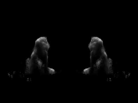 Renomty,ONEIL feat Marlex baby