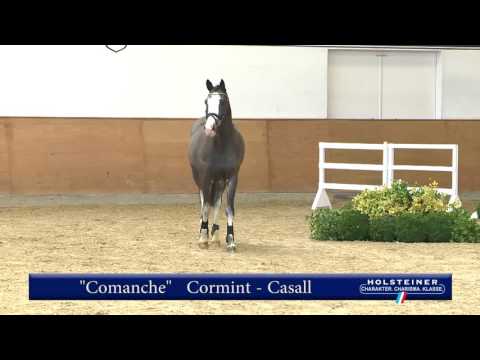 120. Comanche v. Cormint - Casall