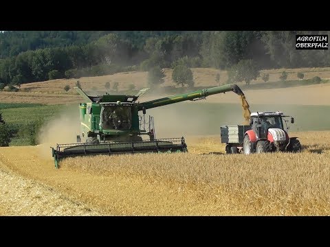 Hirsch im Getreidefeld - John Deere S 670i Hillmaster beim Dreschen - LU Schwägerl
