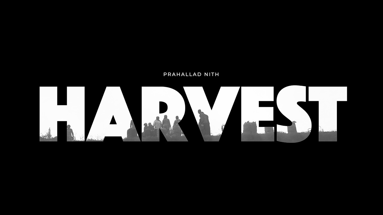 Harvest - a film by Prahallad Nith (4K)