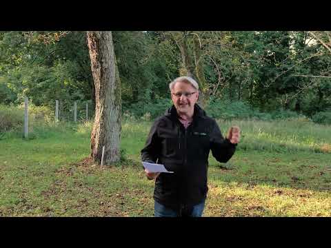 Pięć ważnych spraw na październik 2023 #Gazeta Leśna