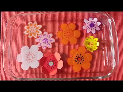 Blooming paper flowers by Nuha the Explorer