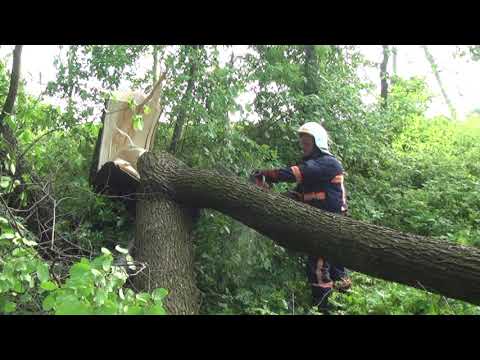 Рятувальники здійснили 171 виїзд для надання допомоги на Прикарпатті: інформація станом на 16:00