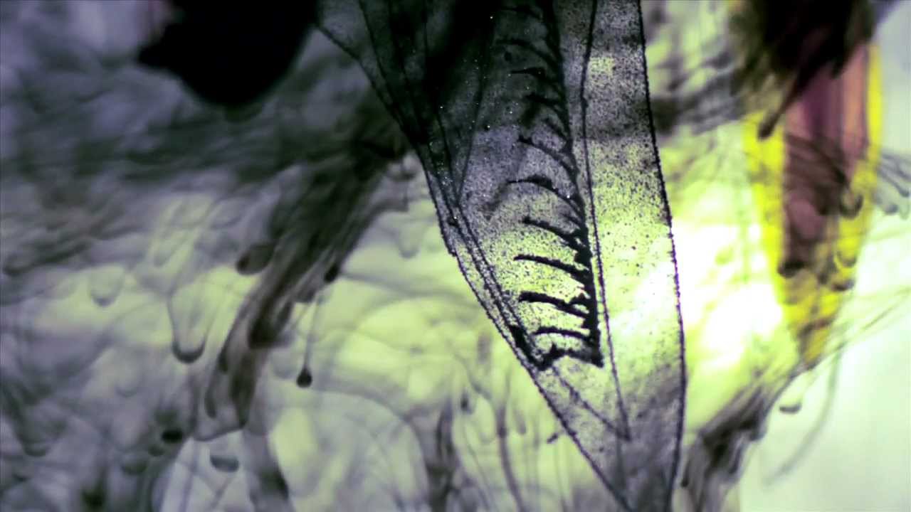 Bon Iver - Minnesota, WI