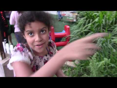 Comemoração 15 anos / LIDERANÇA FUTSAL