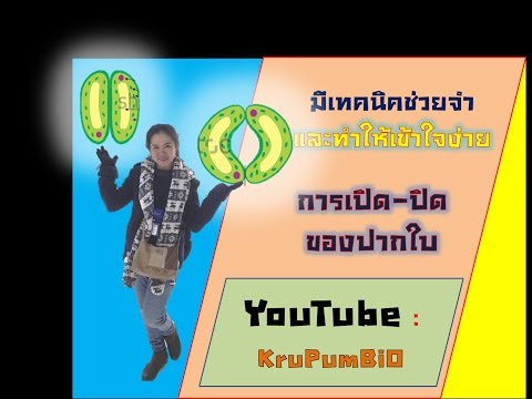 ชาอารามโรคสะเก็ดเงินเว็บไซต์อย่างเป็นทางการ น้ำมันเมื่อกลากแห้ง