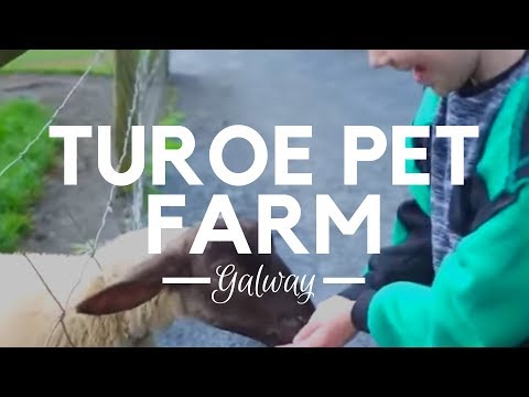 Turoe Pet Farm - Children's Outdoor Activity Centre Galway Video