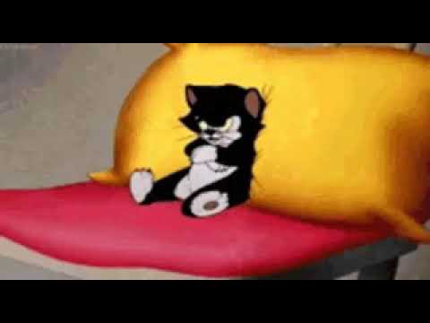 Awwww.....kitty..🥳