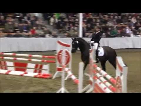 DEPECHE MODE bei der Hengstschau im Westfälischen Pferdezentrum 2014