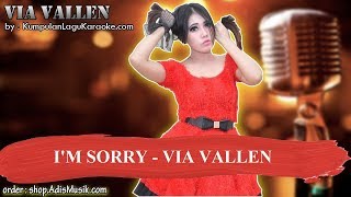 I&#39;M SORRY - VIA VALLEN Karaoke