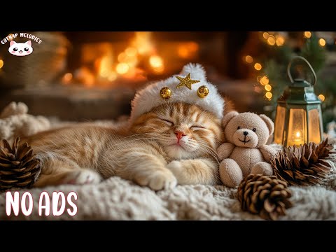 Calming Music for Anxious Cats 🐾 Gentle Instrumental Music for Relaxation, Reduce Anxiety and Sleep