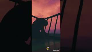Download lagu STORY WA 30 DETIK|| TAK INGIN LAGI RASANYA KU BERCINTA mp3