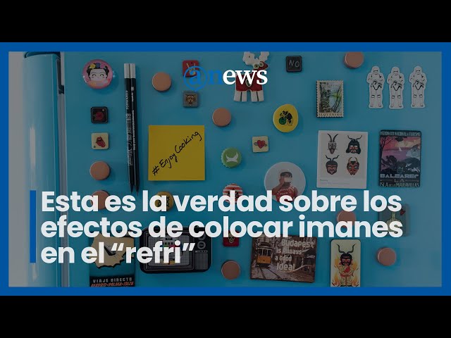 Vídeo relacionado con Imanes Magnidome - Tiburón de Deluxebase. Imán de Nevera de Cristal con diseño de tiburón para niños. Magníficos imanes con Forma de cúpula para decoración y Accesorios del hogar