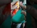 Gold Fish Ki Sargary Fish Goldfish Aquarium Fishing