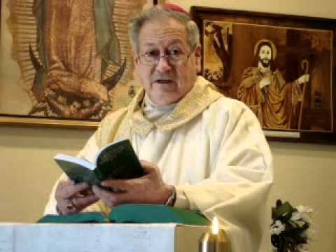 Homily 01/28/11