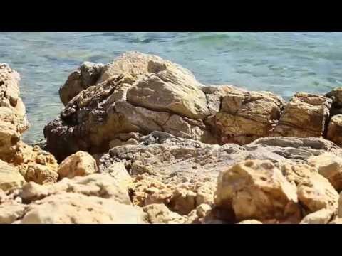 Hallelujah (2010 version) - K D Lang