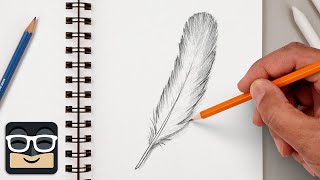 How to Draw a Realistic Feather | Step by Step Art Lesson for Beginners