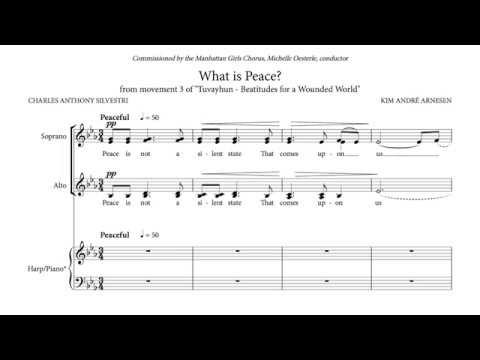 Kim André Arnesen - What is Peace? (Score video)
