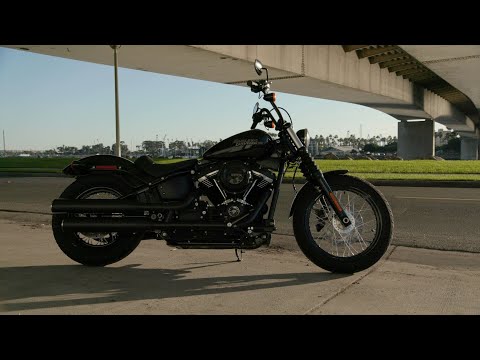 2020 Harley-Davidson Street Bob® in Williamstown, West Virginia - Video 1