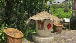 小油坑健行/竹子湖賞花