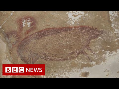 World's oldest animal cave painting in Indonesia - BBC News