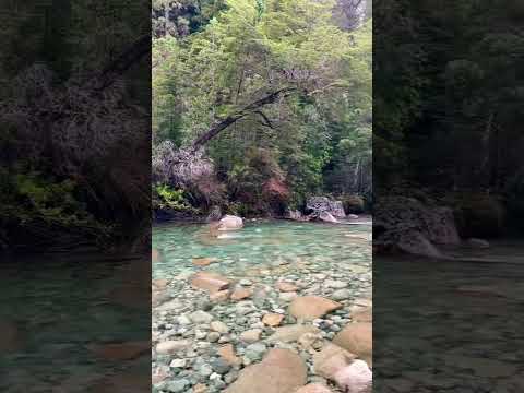 📍Rio Blanco, Lago Puelo, Chubut 🇦🇷📻Zeta 94.3 #rios #paisajes #patagonia #elbolson #lagopuelo