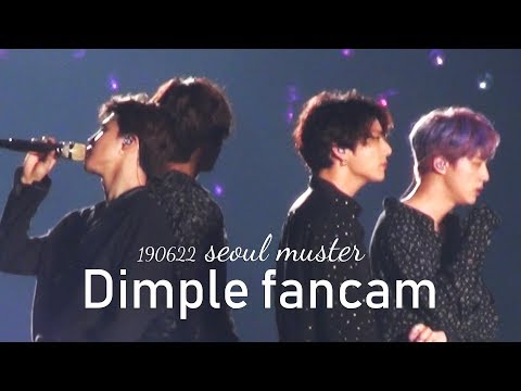 [BTS] A deadly Dimple Fancam 190622 Seoul Muster re-upload.