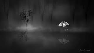 Michael Schulte- thoughts (lyrics)