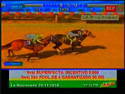 Resumen Sábado, 20 de Noviembre de 2010 - La Rinconada