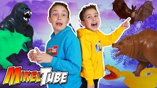 Download lagu Visitamos el Zoo para ver Los Depredadores de La Noche mp3 Download lagu Visitamos el Zoo para ver Los Depredadores de La Noche mp3