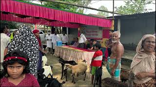 পিপিআর ভ্যাক্সিনেশন