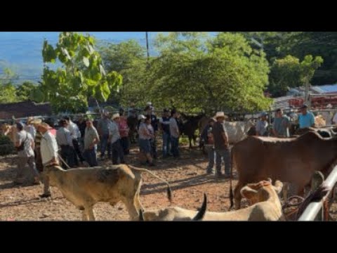 Tiamgue de Osicala,Morazán,El Salvador,viernes 10 de julio 2026