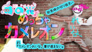 【めっちゃカメレオン】メンツは夜アソ日和なカメレオン　#5【かくれんぼ】