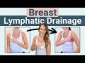 Breast Chest Lymphatic Drainage Massage Routine