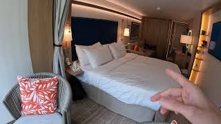 Icon of the Seas Cabin 11233 Central Park Infinite Balcony ￼￼