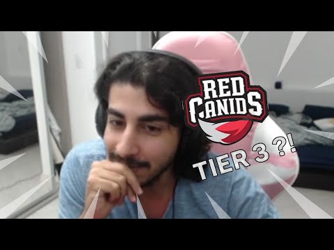 RED CANIDS SERA REBAIXADA TIER 3 ?! | CLIPS DE HOJE