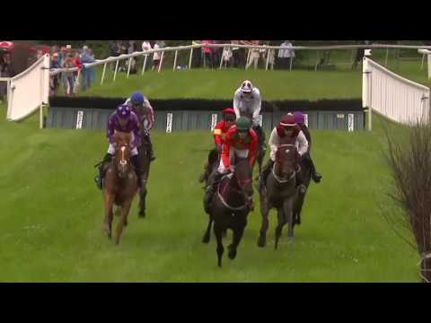 2017.06.17 Svenskt Champion Hurdle - Calvados