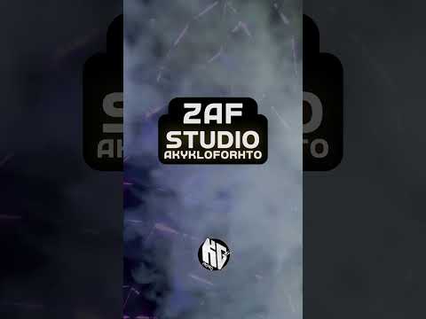 ZAF (Ακυκλοφόρητο)