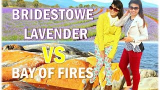 Sights & Sounds: Flying Fox Helihike, Fox Glacier