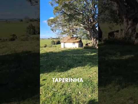 TAPERINHA, Bom Jardim - Caçapava do Sul