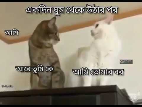 best surprise in tha warld 🥰👩‍❤️‍👨