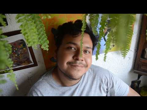 Andrew Romay - Days of my life - (Feat. Steelyvibe) [VIDEO FINAL]