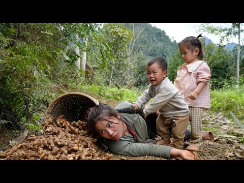 300 days and nights journey of harvesting ginger, fish, making cakes to sell with my child