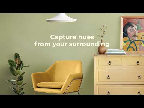Colour with Asian Paints Video