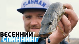Ловля щуки во время нереста на спиннинг
