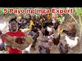 5 Bagay Na Mabilis Makapag Paasenso Sa Pag Aalaga Ng Manok